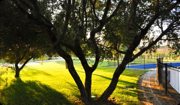 Hotel Tenuta Santa Lucia San Giovanni Rotondo Zewnętrze zdjęcie
